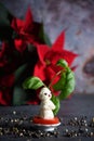 creative snowman canapes of mozzarella, tomatoes on a background of poinsettia