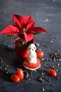 creative snowman canapes of mozzarella, tomatoes on a background of poinsettia