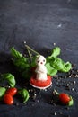 creative snowman canapes of mozzarella, tomatoes on a background of poinsettia