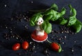 creative snowman canapes of mozzarella, tomatoes on a background of poinsettia