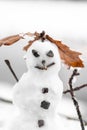 Creative snowman granny or grandpa stone eyes and buttons with sticknear river Royalty Free Stock Photo