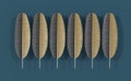 Creative soft feather background, 3d rendering