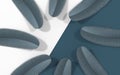 Creative soft feather background, 3d rendering