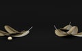 Creative soft feather background, 3d rendering