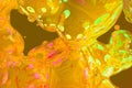 Creative soft focus soap shining bubbles abstract gradient texture or background 3D illustration - background design template