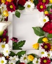 Spring background composition with colourful flowers around white frame on white background. Minimal top view concept. Royalty Free Stock Photo