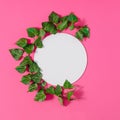 Creative spring or summer layout made of natural green branch and round frame layout for copy space. Pink background