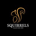 creative squirrel animal logo design icon symbol illustration-vector Royalty Free Stock Photo