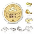 Creative sticker for brie on round cheese mockup. Vector illustration with vintage label.