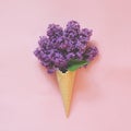 Creative still life. Bouquet of purple lilac flower in ice cream cone on pale pink background. Spring concept. Top view. Royalty Free Stock Photo