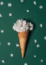 Creative Still Life Of An Ice Cream Waffle Cone With White Blossom Of Snowball On Green Background.