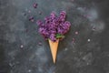 Creative still life of pink lilac in waffle ice cream cone on vintage black table. Spring. Top view Royalty Free Stock Photo