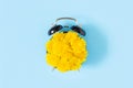 Creative summer concept. Alarm clock with yellow dandelions flowers on clock face, blue background. Minimal style. Top Royalty Free Stock Photo