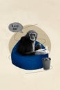 Creative template graphics collage image of relaxing funny monkey relaxing bean bag drinking coffee isolated drawing Royalty Free Stock Photo