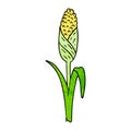 A creative textured cartoon doodle of fresh corn on the cob Royalty Free Stock Photo