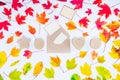 Creative Top view autumn composition. Envelope with flying out blank cards and row of handcrafted gift boxes on fallen leaves grad