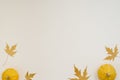 Creative top view flat lay autumn composition. Frame from dried pumpkin leaves on a beige background with copy space. Template Royalty Free Stock Photo