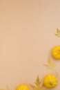 Creative top view flat lay autumn composition. Frame from dried pumpkin leaves on a beige background with copy space. Template Royalty Free Stock Photo