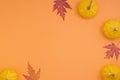Creative top view flat lay autumn composition. Frame from dried pumpkin leaves on an orange background with copy space. Template Royalty Free Stock Photo