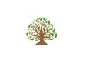 Creative Tree Logo Royalty Free Stock Photo