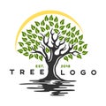 Creative tree logo with river. Royalty Free Stock Photo