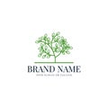 Creative tree logo vector Royalty Free Stock Photo