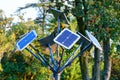 Creative, treelike solar panels in the city park