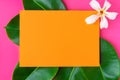 Creative trendy tropical summer spa wellness organic cosmetics fashion background. Orange frame on fresh wet ficus leaves flower