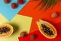 Creative tropical layout with papaya and litchi on colorful vivid paper. Minimal abstract summer concept. Flat lay
