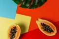 Creative tropical layout with papaya and palm tree leaves on colorful vivid paper. Minimal abstract summer concept. Flat lay