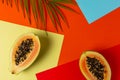 Creative tropical layout with papaya and palm tree leaves on colorful vivid paper. Minimal abstract summer concept. Flat lay