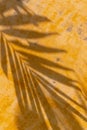 Creative tropical leaf shadow on yellow wall background Royalty Free Stock Photo