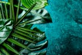 Creative tropical leaves background. Trandy tropical leaves on turquoise slate background - color of the year 2018. Top Royalty Free Stock Photo