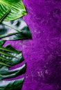 Creative tropical leaves background. Trandy tropical leaves on ultra violet slate background - color of the year 2018 Royalty Free Stock Photo