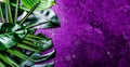 Creative tropical leaves background. Trandy tropical leaves on ultra violet slate background - color of the year 2018 Royalty Free Stock Photo