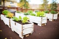 creative upcycled pallet garden beds with veggies Royalty Free Stock Photo
