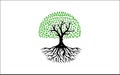 Creative vector graphic of life tree with root vector logo design template