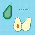 Creative vector illustration avocado fruits and avocado half