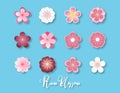 Creative vector illustration collection of plum blossom paper cut style isolated on blue background Royalty Free Stock Photo