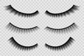 Creative vector illustration of false eyelashes, female lashes, mascara lash brush isolated on transparent background