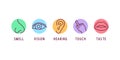 Creative vector illustration line icon set of five human senses. Vision, hearing, smell, touch, taste isolated on Royalty Free Stock Photo