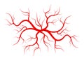 Creative vector illustration of red veins isolated on background. Human vessel, health arteries, Art design. Abstract