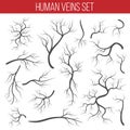 Creative vector illustration of red veins isolated on background. Human vessel, health arteries, Art design. Abstract Royalty Free Stock Photo