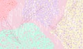 Creative versatile and bright floral background. Artistic header with flowers and leaves. Graphic design. Hand drawn texture.