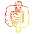 A creative warm gradient line drawing cartoon intestines crying