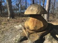 Creative way to cut down trees - wooden mushroom sculpture carved out of a trunk Royalty Free Stock Photo