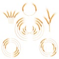 Creative wheat ears. EPS 10 Royalty Free Stock Photo