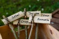 Creative wooden plant markers, labeled with german names for sag