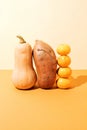 Creatively arranged butternut squash, sweet potato and tangerines close-up