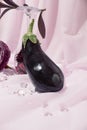 Creatively arranged eggplant against light violet background